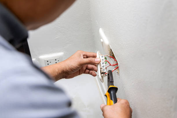 Best Electric Panel Repair  in Silver Lake, NJ